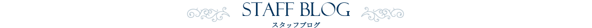 スタッフブログ